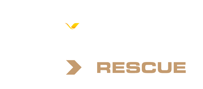 Proud supporters of RACQ Careflight